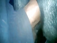 Horse anal with a gay whore