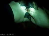 Animal porn tube mare fingering