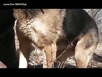 Gay beast jacking off a dog