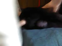 Man enjoying a dog anal sex