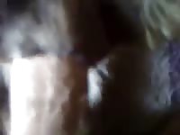 Furry pet porn with man