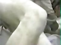 Dog xxx riding a huge man cock