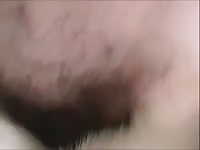 Husky dog receiving animal creampie