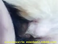 Asian beastiality sex with a dog