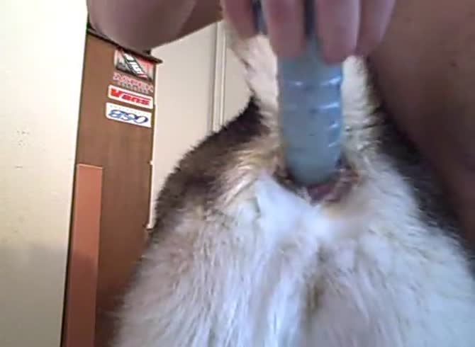 Porn Picture