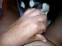 Gay beast loving dog oral sex