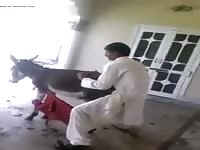 Pony porn with a horny man in white clothes