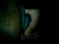 Fingering a horse's black hole beastiality xxx
