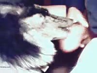 K9 sucking a huge cock amateur beastiality