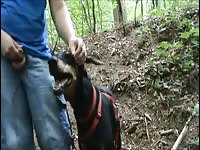 Lost man got fucked by a wild dog xxx