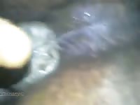 Mexzoo teen fingering a black hole