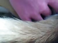 Tiny hole got fingered beastiality movie