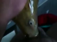 Fish sucking a man's dick homemade beastiality