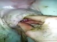 Hardcore animal sex with a man's arms