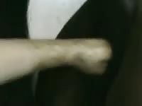 Fist fucking an animal's ass hole hardcore beastiality