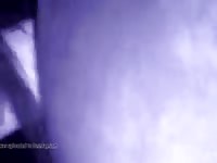 Horse anal sex with a man's fist