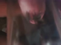 Insect porn with a pink cock