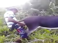 Beastiality lover fucked an animal on a farm