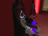 Hallway fuck of two wild animals animated beastiality