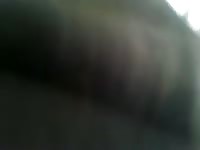 Teen fucking a pig porn