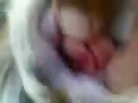 Huge cock destroyed a dog's holes