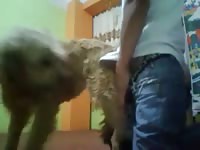 Furry pet porn with dog fucker