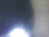 Dog sucking a man's cock homemade beastiality