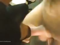 Animal sex fun of gay and dog