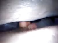 Mare got fingered before animal sex
