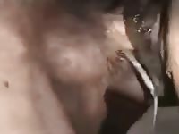 Man enjoying a horse creampie porn
