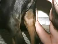 Hot dog sex with k9 and man