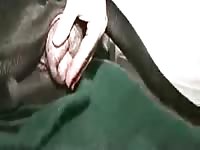 Deepthroating a gay's hairy cock amateur beastiality