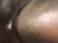 Homemade horse porn with man