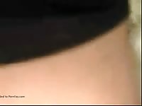 Mare's pussy got eaten before horse sex