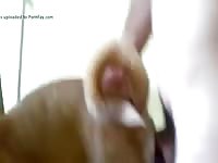 Gay enjoying a dog anal sex