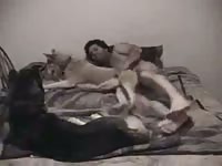 Husky dog porn with naked man
