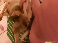 Homemade dog sex with big cock man