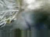 Videos de zoofilia with gay's hard dick
