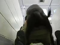 Amateur animal sex with gay