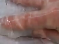 Dolphin porn with gay beast