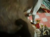 Dog porno receiving cum shots