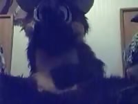 Furry animal sex with a man