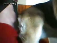 Dog getting fucked on tumblr zoophilia