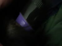 Man using dildo on dog xxx