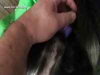 Animal sex toy got fucked by a dildo