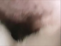 Man sleeps with dog porn and fucked it