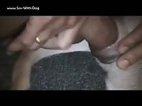 Man inserting his dick to animal sex toy