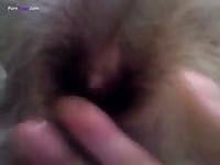 Hot dog sex fingering session