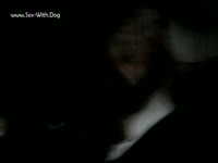 K9 dog sucks a big dick