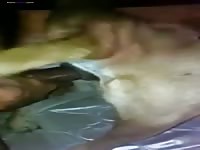 Gays on animal sex pornhub